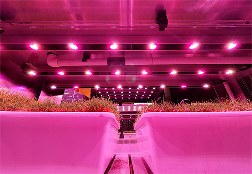 SGL Research Centre Indoor climate chamber LED light spectrum